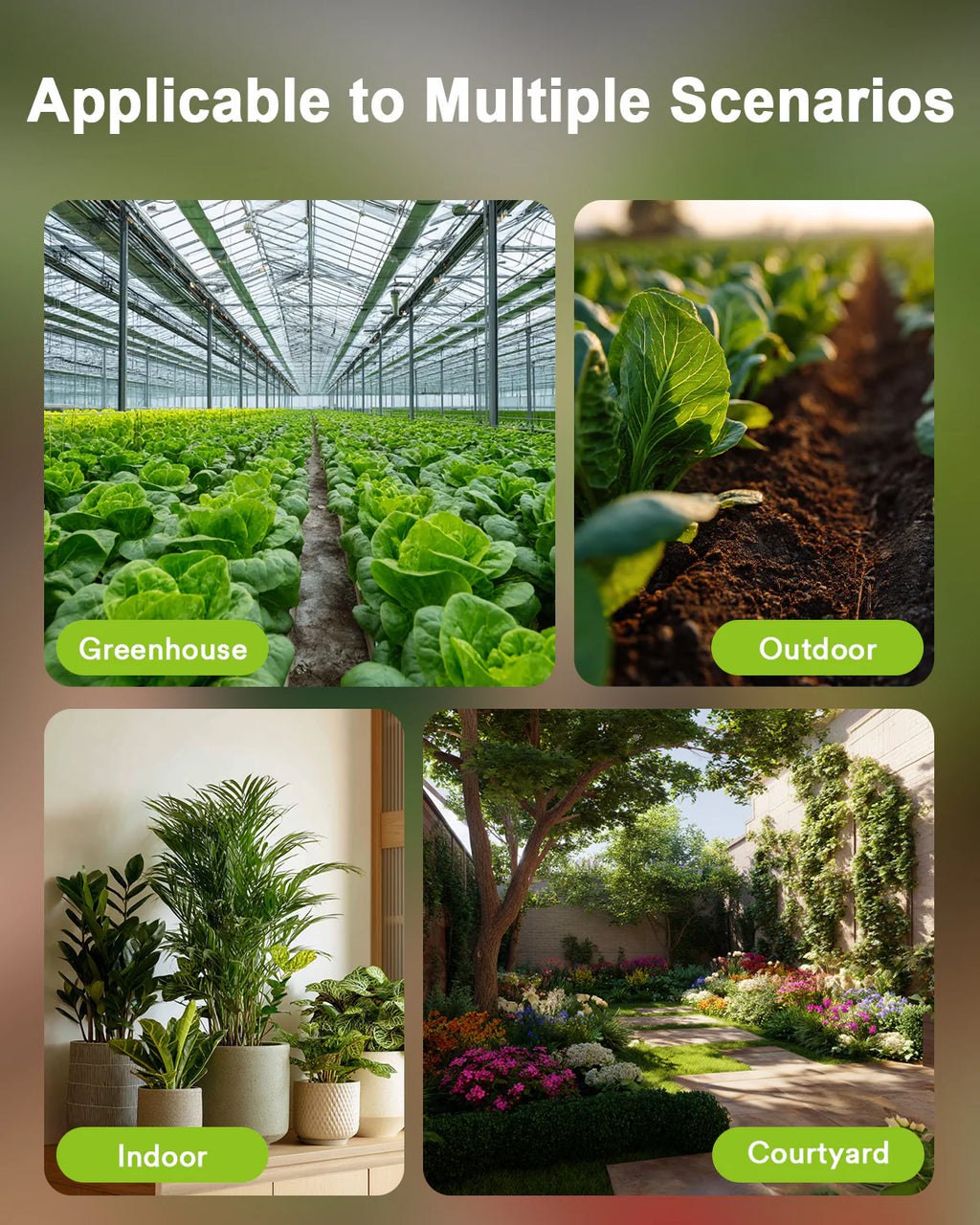 Lumary Wireless WiFi Moisture/Temperature Soil Meter