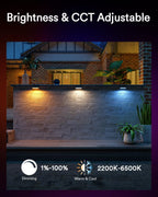 8PC Lumary Smart Retaining Wall Light